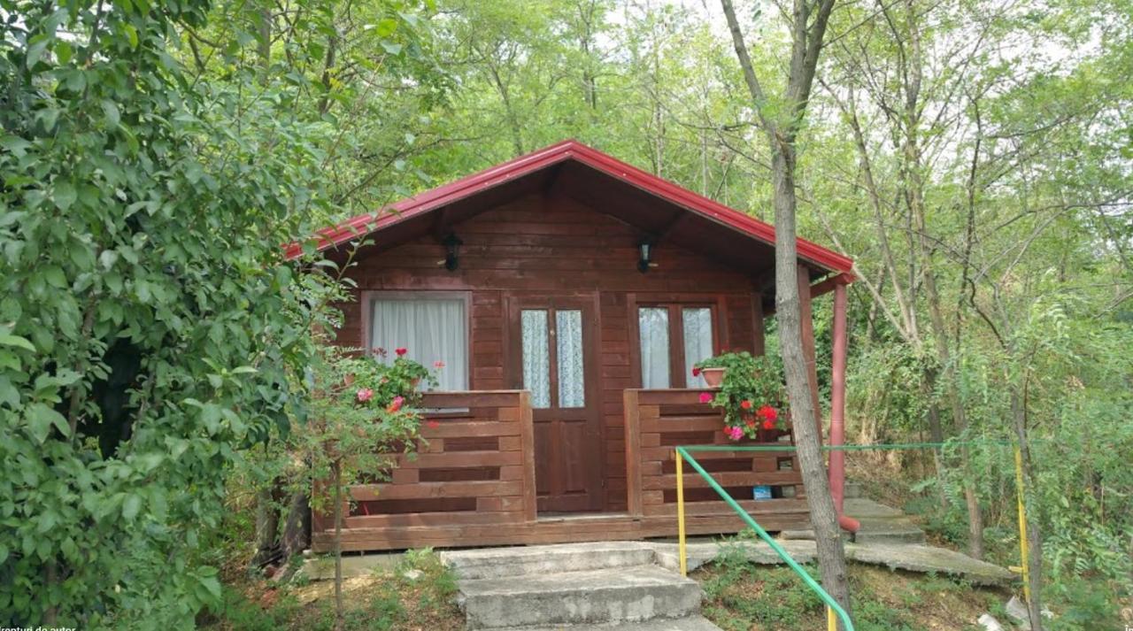Willa Gratca Nr 164 Orszowa Zewnętrze zdjęcie