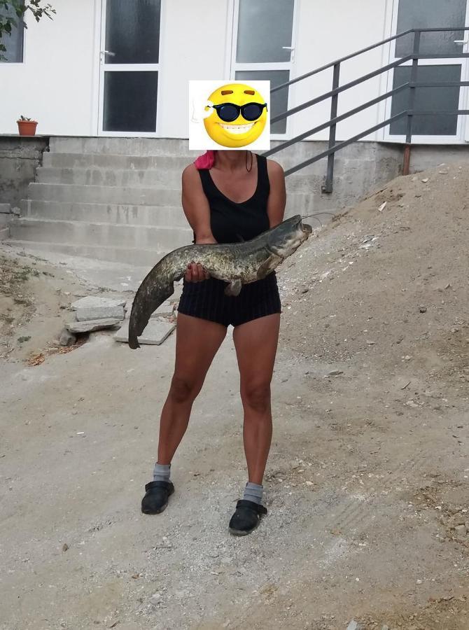 Willa Gratca Nr 164 Orszowa Zewnętrze zdjęcie